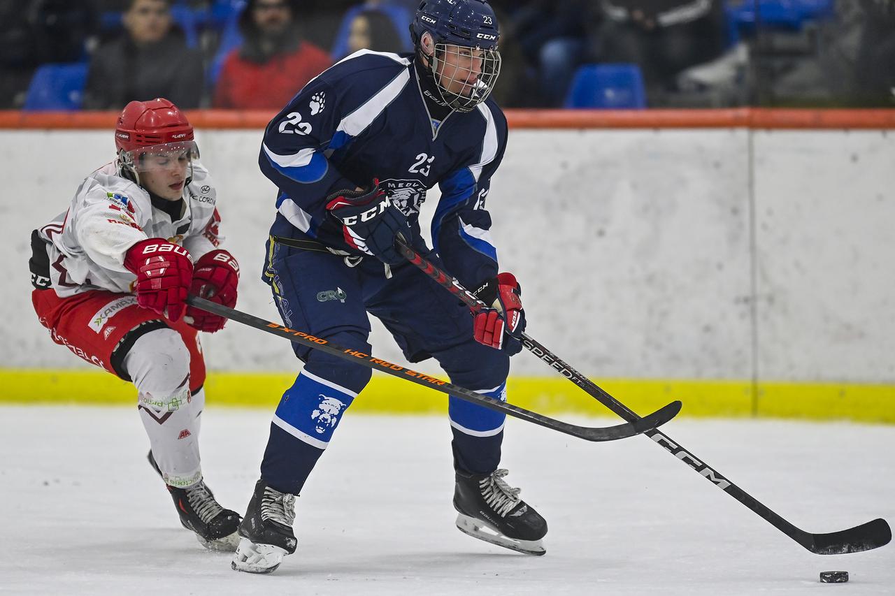 Zagreb: Susret Medveščaka i Crvene zvezde u 4. kolu IHL lige