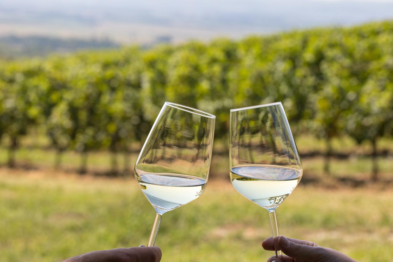 Nigdje se kraj berbe ne slavi kao u Vetovu!