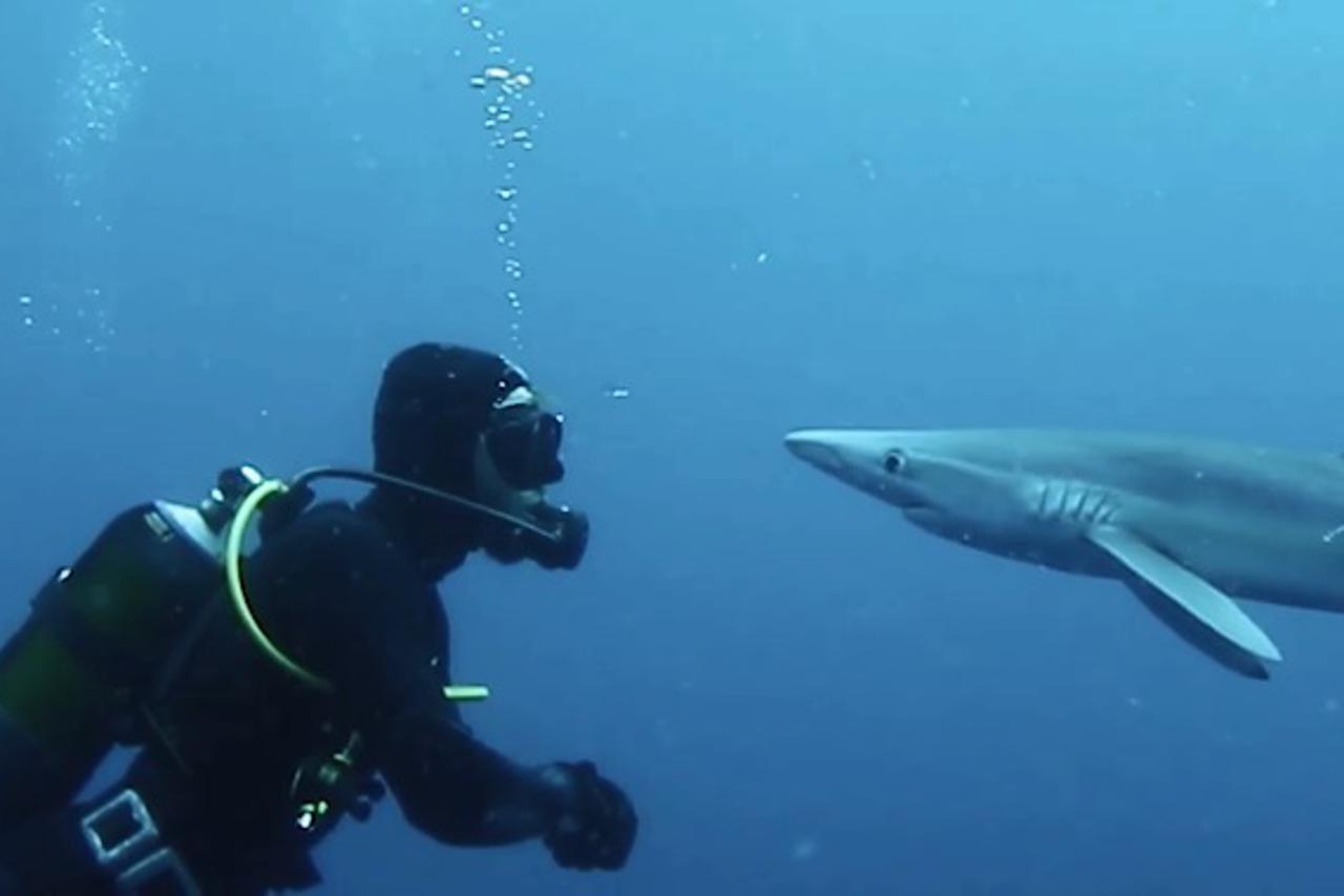 Morski Pas 'poljubio' Ronioca