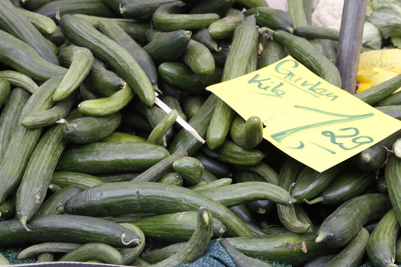 e coli, bakterija (1)