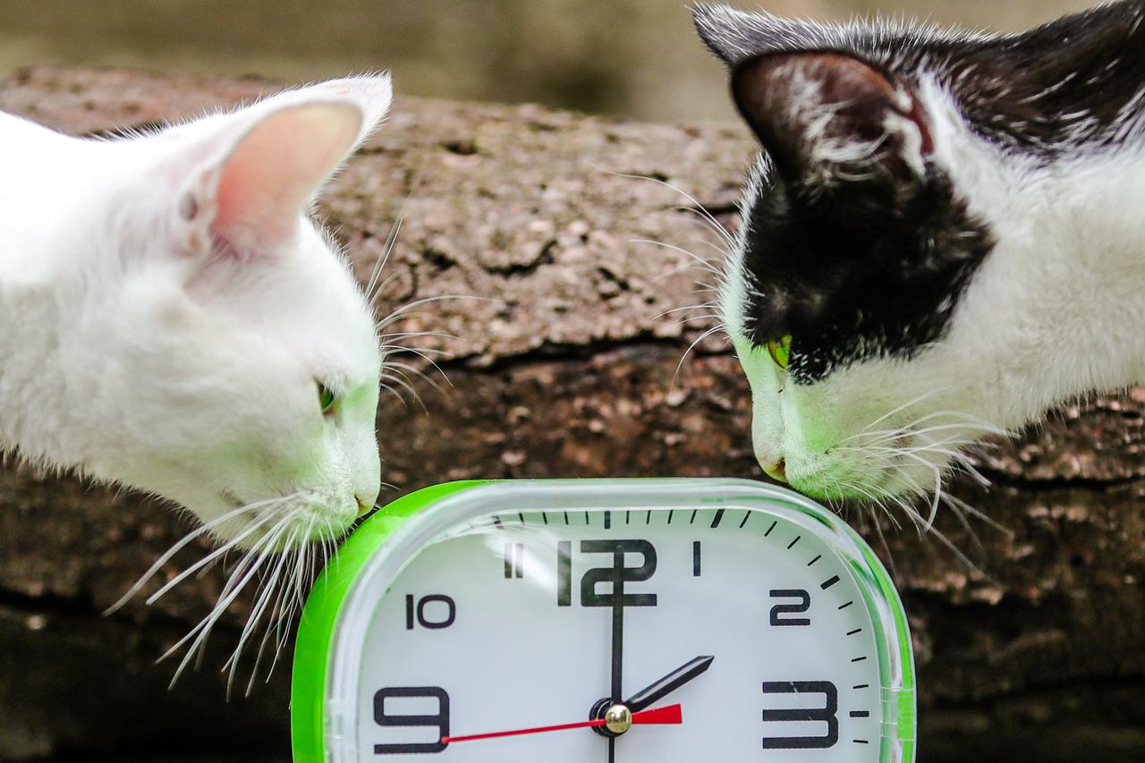 Odgađa se ukidanje zimskog i ljetnog računanja vremena