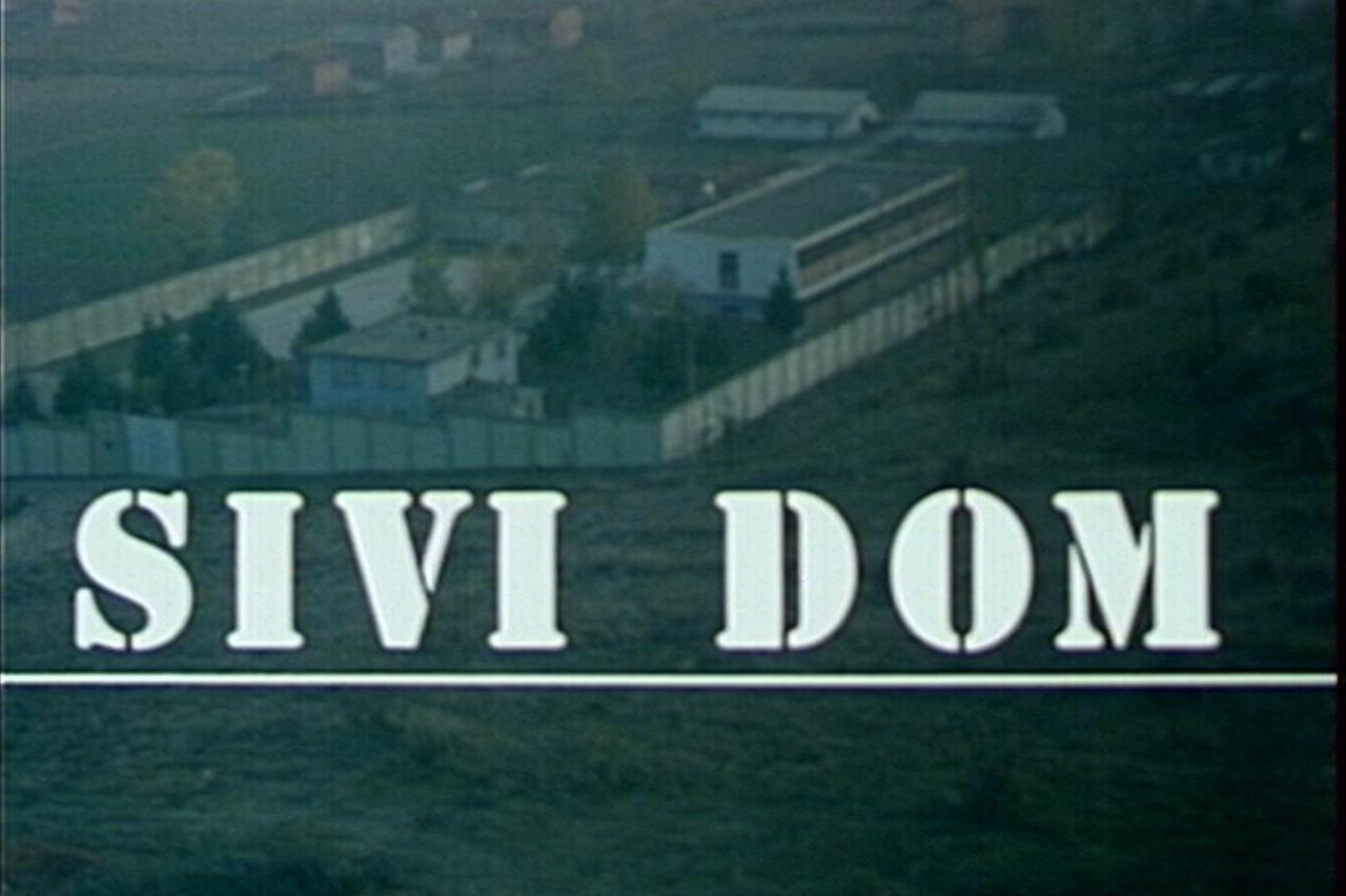 Sivi dom