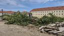 FOTO/VIDEO U Karlovca srušeno 40 lipa, oporba pokušala zaustaviti bagere, Grad tvrdi: 'Bile su u lošem stanju'