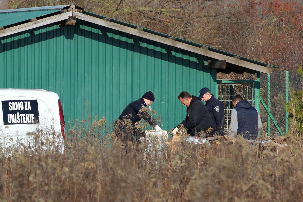 Prihvatilište životinja u kojem su našli mrtve pse
