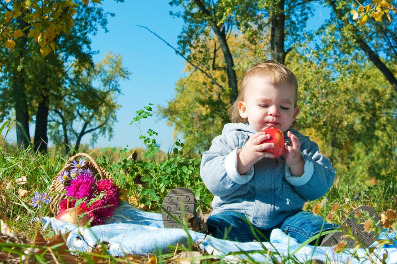 DJEČAK DIJETE BEBA LIVADA SUNCE IZLET