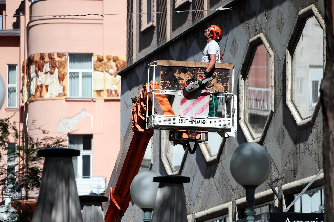 Zagreb: Uređivanje drvoreda u Gajevoj ulici