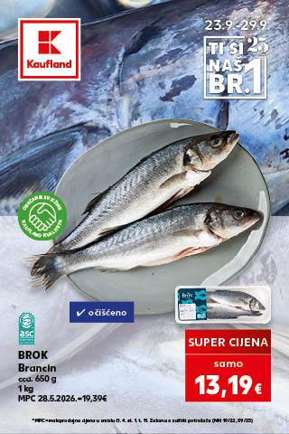 B11