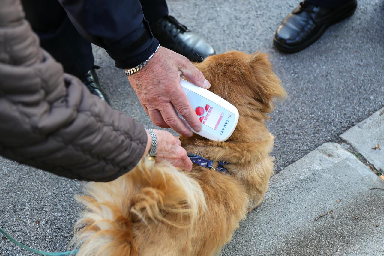 Komunalni redari svakodnevno obavljaju kontrolu mikročipiranja pasa na području grada Zagreba