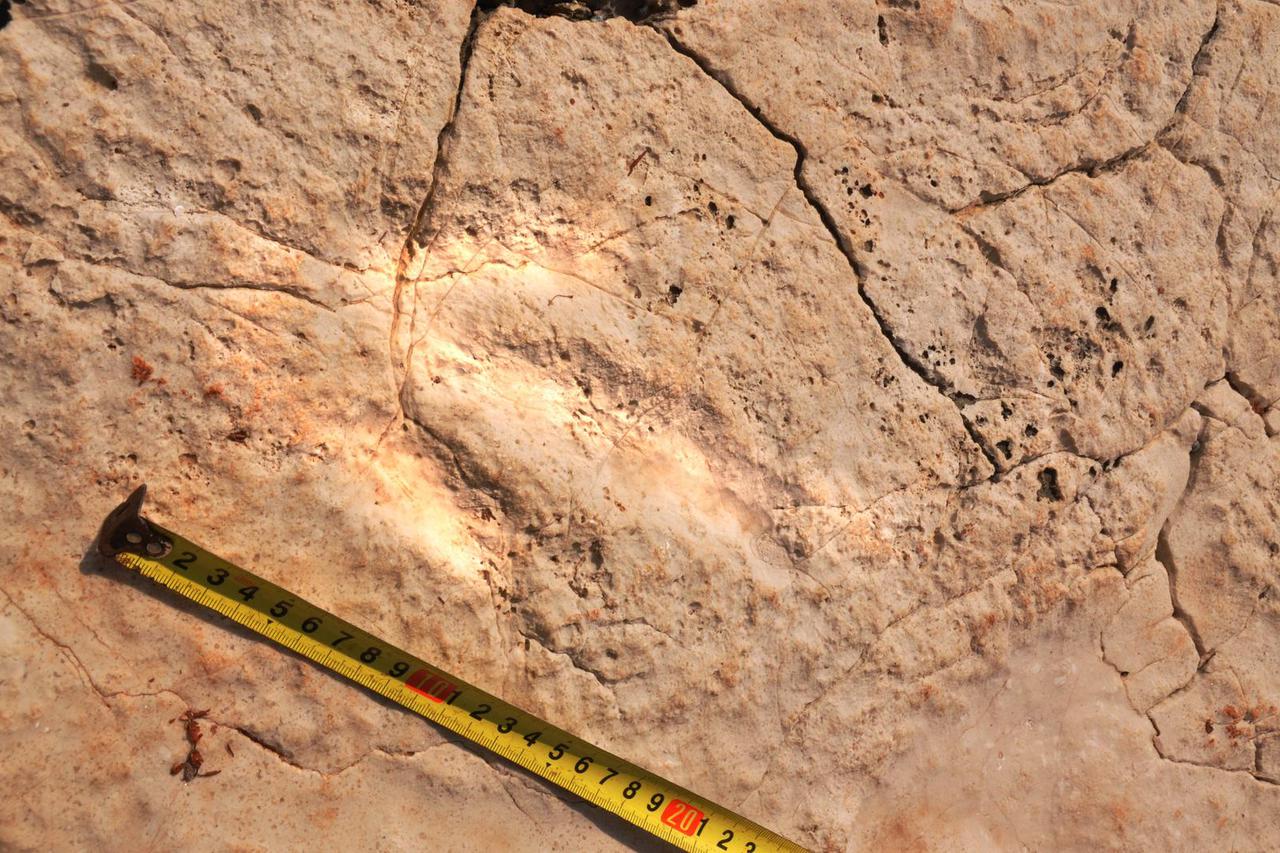 Lovre?ica: Bagerom ukrali stope dinosaura stare 95 miljuna godina