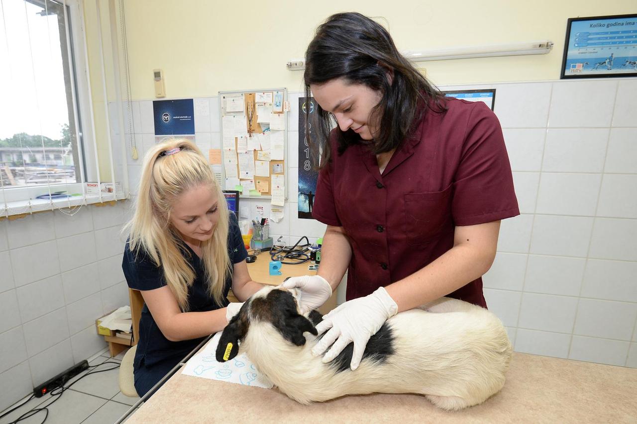 Veterinarska stanica u Čakovcu