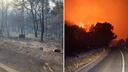 Rain aids firefighters battling severe wildfire on Korčula island