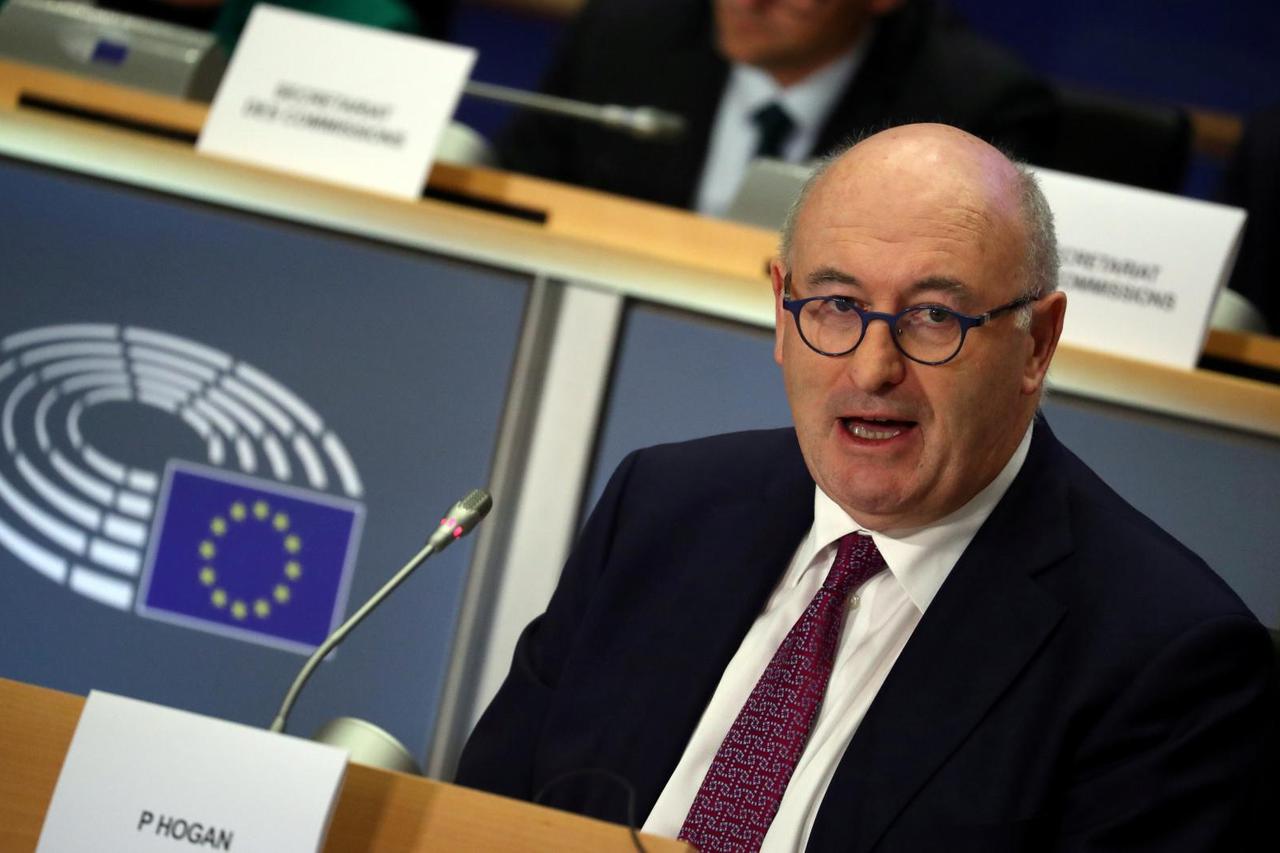 FILE PHOTO: European Trade Commissioner-designate Phil Hogan attends his hearing before the European Parliament in Brussels