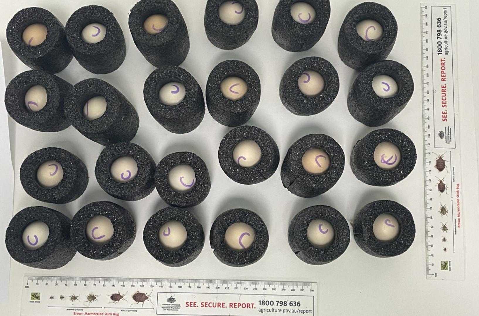 Procjene godišnje vrijednosti kriminala nad divljim životinjama iznose 20 milijardi američkih dolara, ali tajnovita priroda trgovine sugerira da je stvarni iznos vjerojatno mnogo veći. Operacija Thunder 2025 otkrila je eskalaciju ilegalne trgovine mesoom divljih životinja, posebno iz tropskih regija. Belgijske vlasti presrele su meso primata, kenijski dužnosnici zaplijenili su preko 400 kilograma mesa žirafe, a tanzanijsko provođenje zakona pronašlo je meso zebre i antilope te kože u vrijednosti od približno 10.000 američkih dolara.