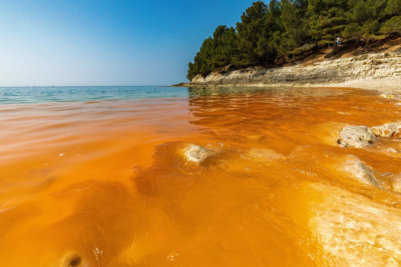 Cvjetanje mora na pojedinim pulskim plažama