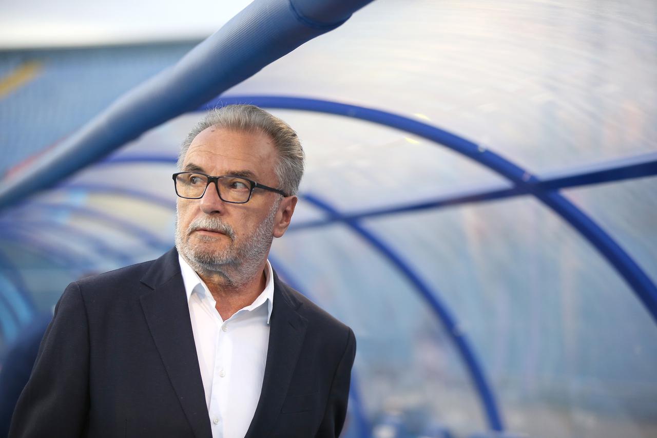 Uzvratna utakmica 3. pretkola UEFA Lige prvaka GNK Dinamo - Ludogorec