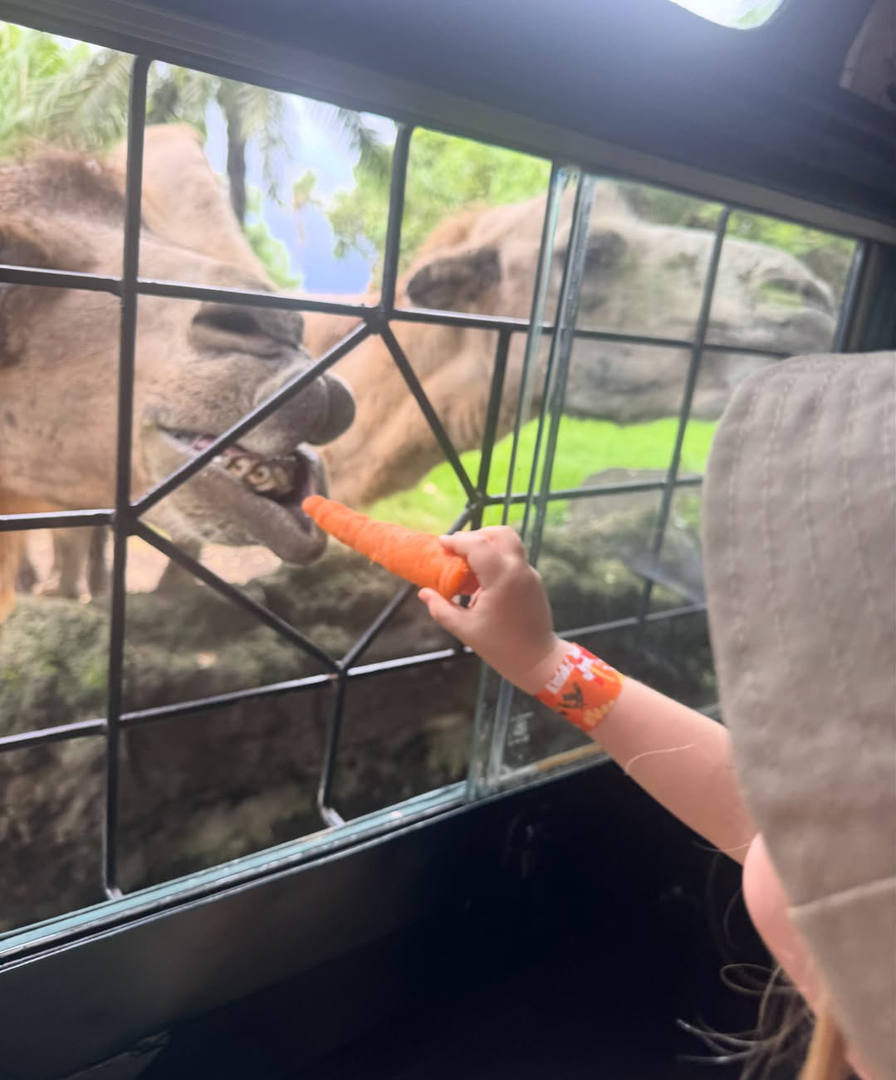 Njegova zaigranost i široki osmijeh rastopili su srca pratitelja, koji su zaključili da je upravo on "apsolutni hit" ovog putovanja.