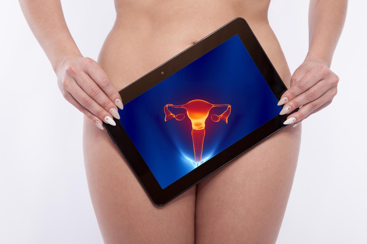 Žensko tijelo, vagina, 