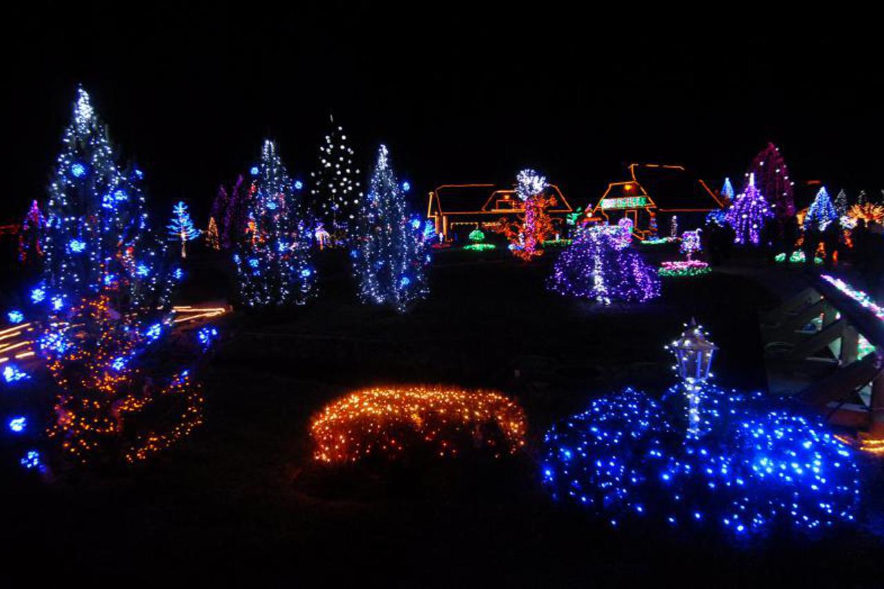 Pljenje božićnih lampica na imanju u Grabovnici (1)