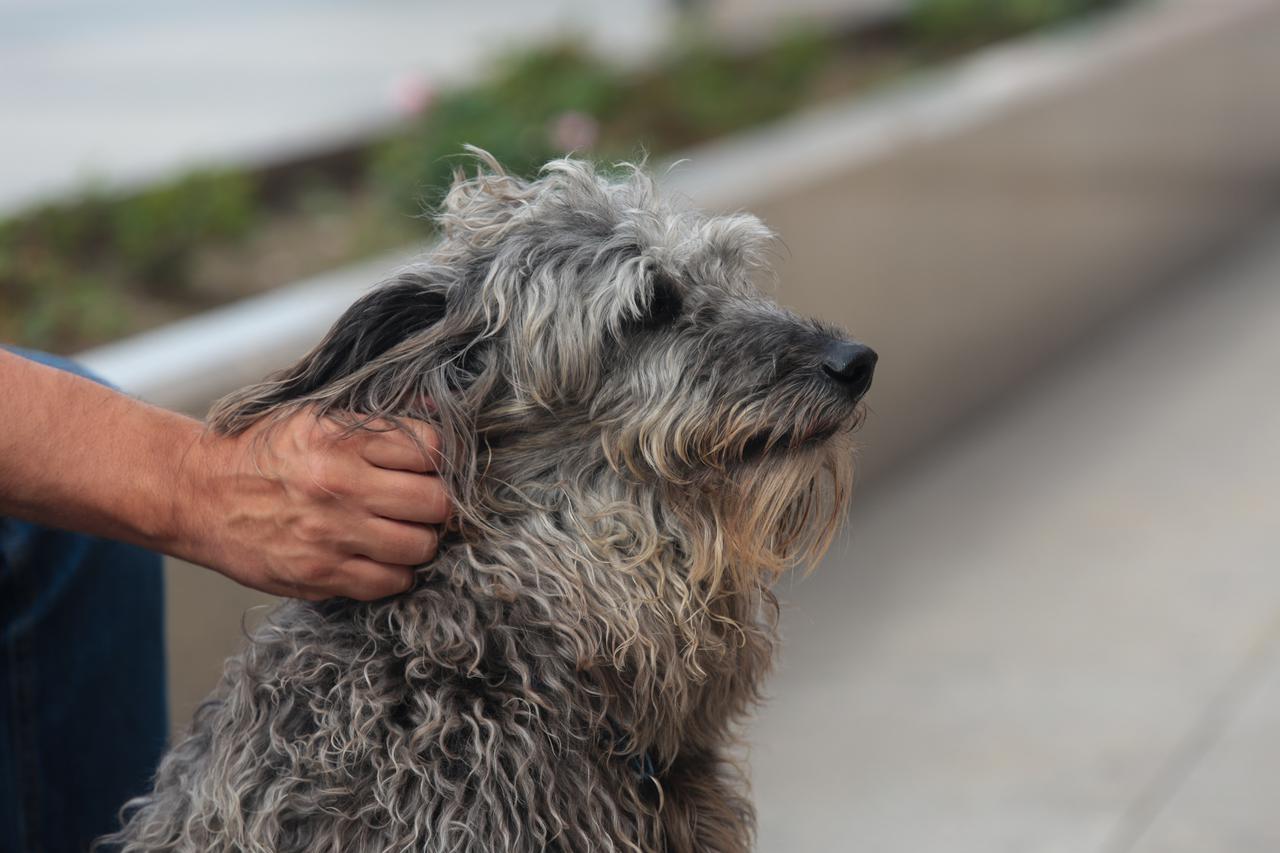 Nedjeljno prijepodne u gradu Zagrebu