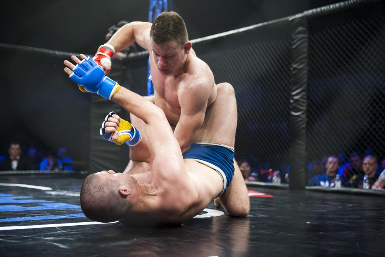 mma liga (1)