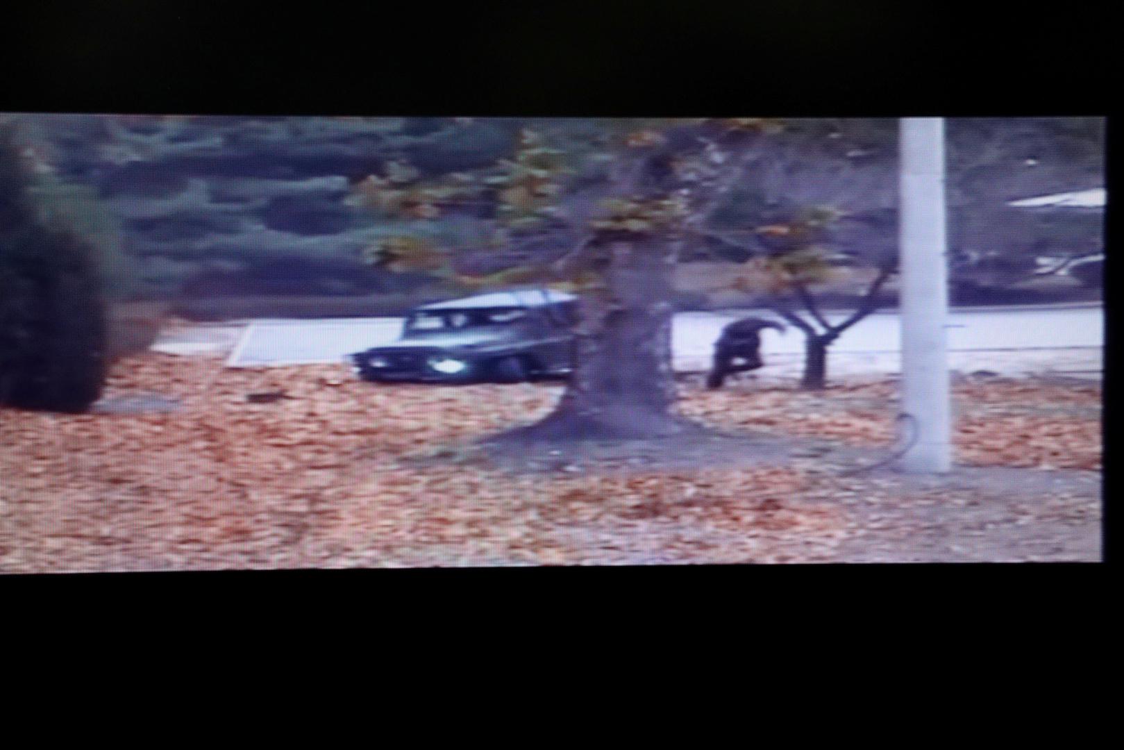 Un je objavio dramatičnu snimku bijega sjevernokorejskog vojnika koji je prema granici prvo jurio džipom, a zatim nastavio pješke. Prije nego što se dočepao tla Južne Koreje, vojnici koji su ga hvatali pogodili su ga najmanje pet puta.
