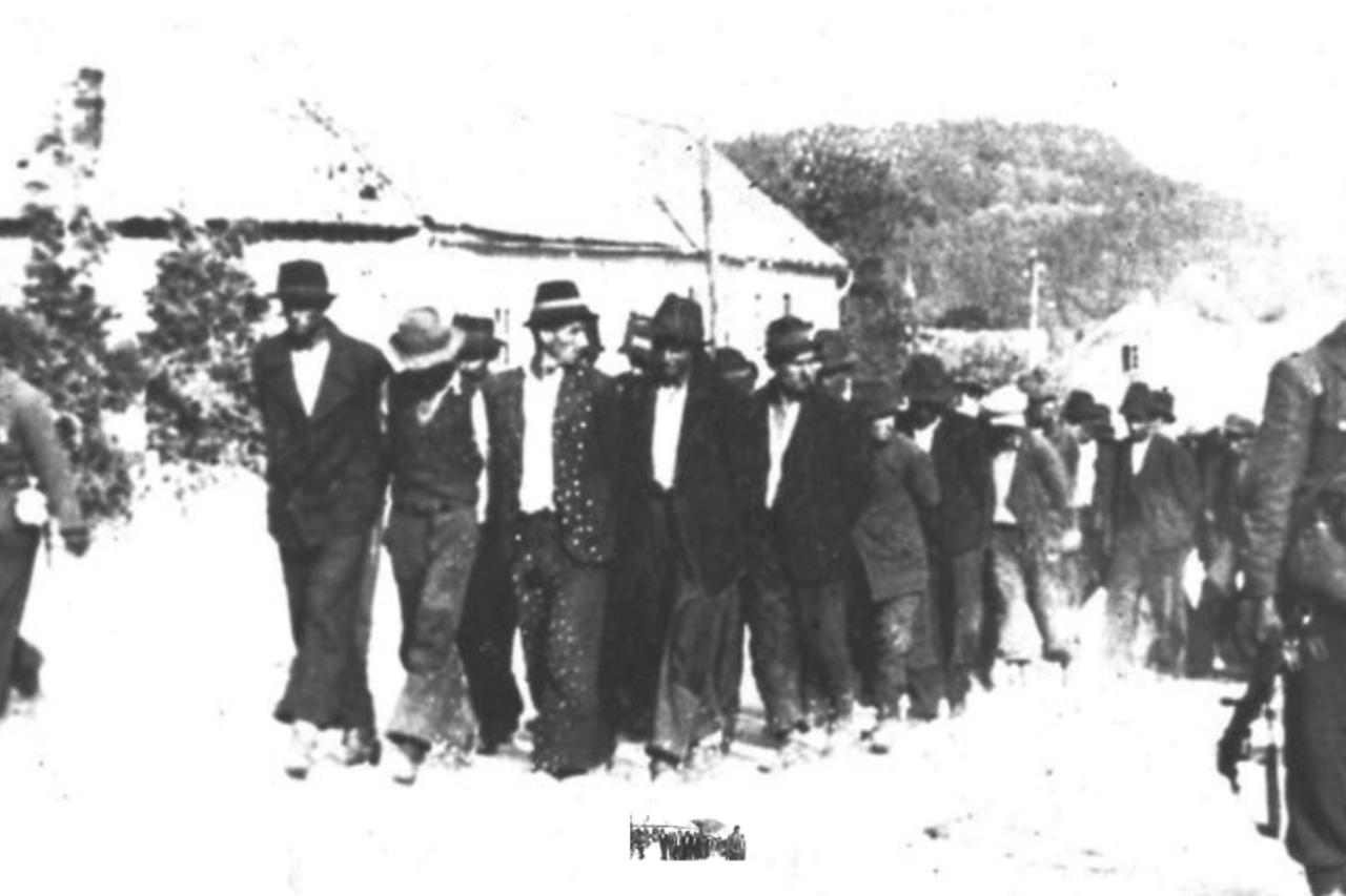 storyeditor/2026-06-23/srbibanija.jpg
