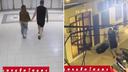 Body of 17-year-old found in suitcase; Australian arrested attempting to leave Thailand