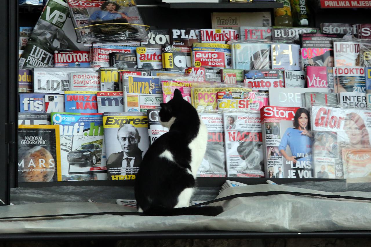 25.11.2016., Opatija - Macka cita novine izlozene pred kioskom na Slatini.  Photo: Goran Kovacic/PIXSELL