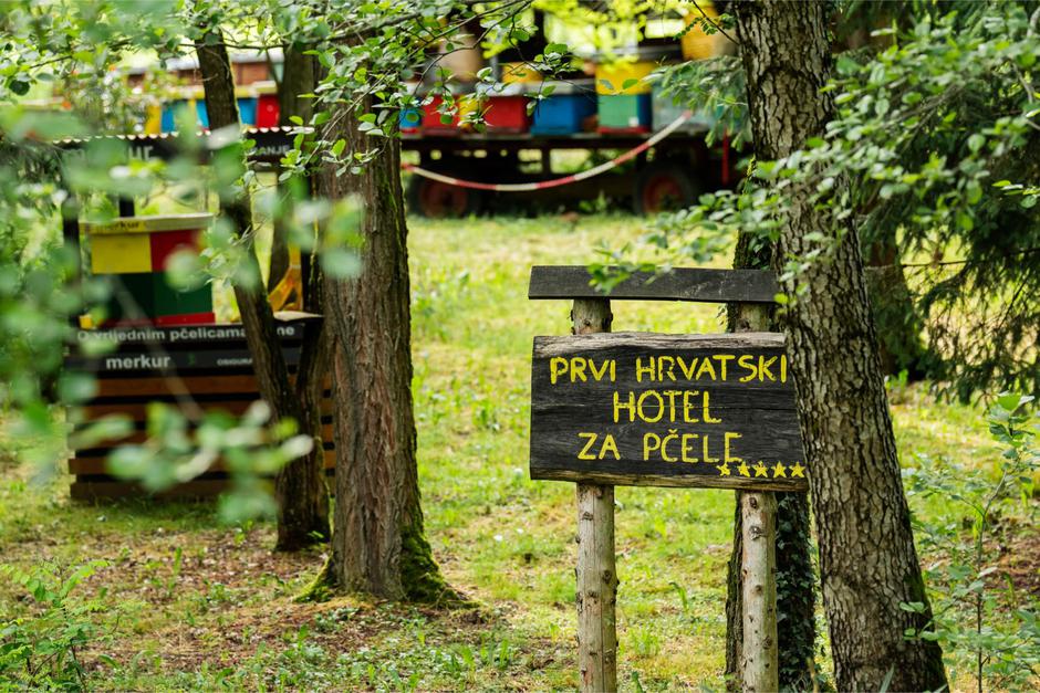 Stipe Boščić i Arhiva TZ BBŽ