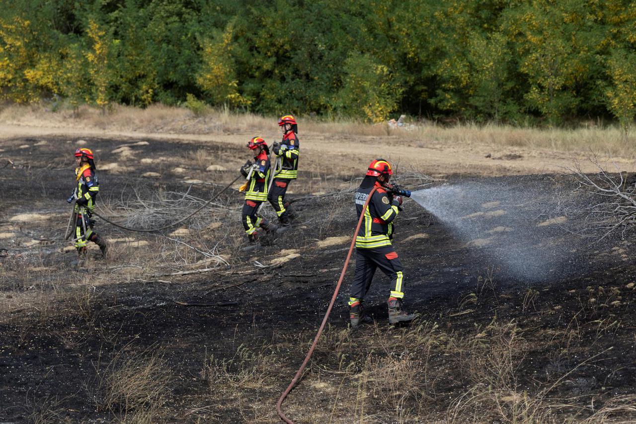Wildfire aftermath in Deliblato Sands