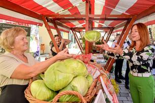 Istražuju kako varaždinsko zelje, ludbreški hren i buča mogu postati otporniji na sušu