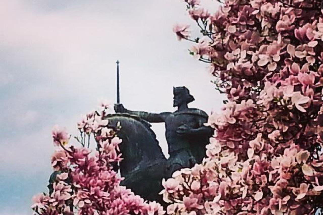 Pobjednička Instagram fotografija 