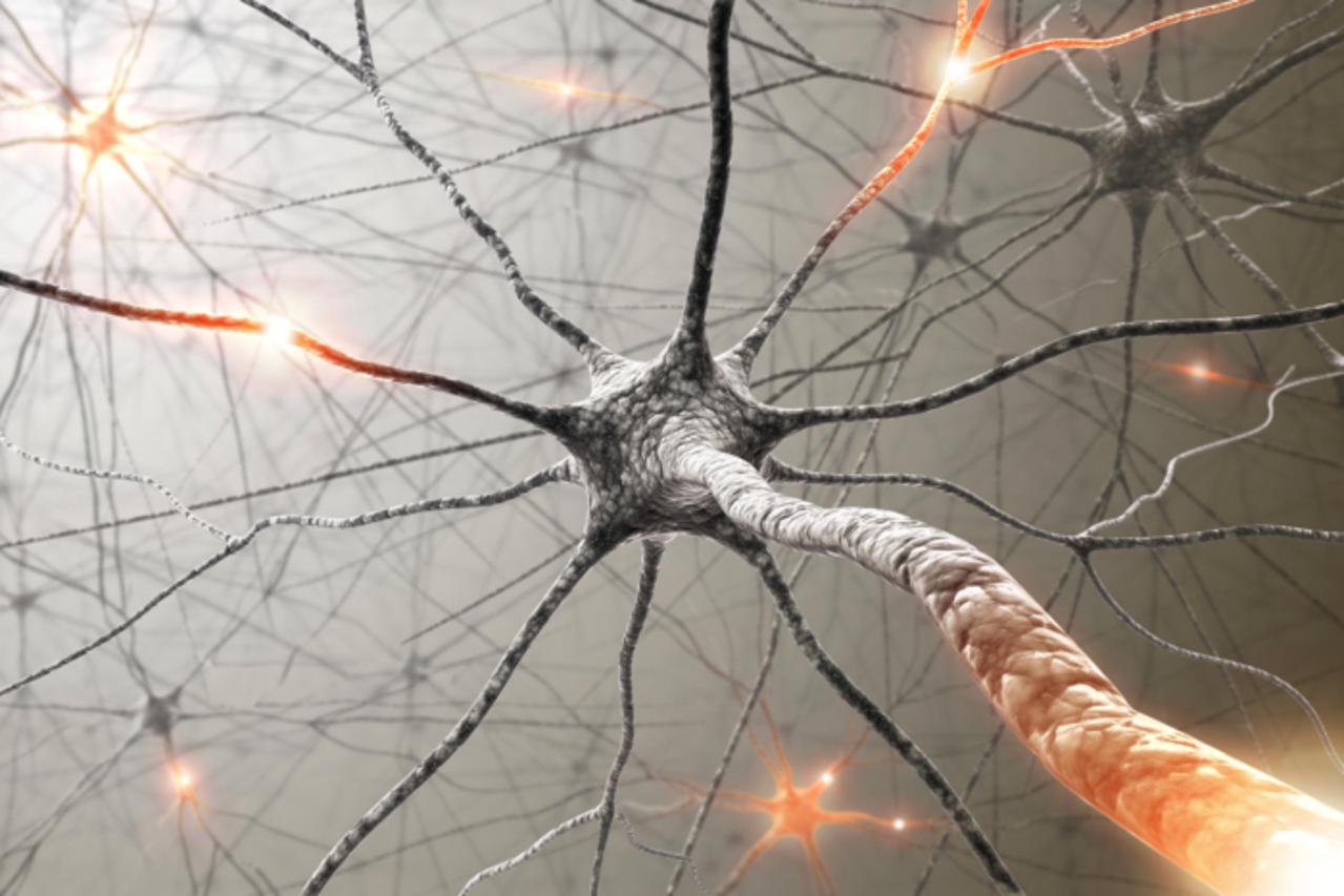 brain cells, ćelije, sive ćelije, mozak