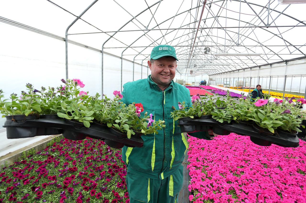 16.05.2014., Zagreb - Vrtni centar Zrinjevac uredjuje i odrzava javne i ostale zelene povrsine, bavi se proizvodnjom i prodajom na veliko i malo sadnica drveca, grmlja, voca i rezanog cvijeca.  Photo: Anto Magzan/PIXSELL