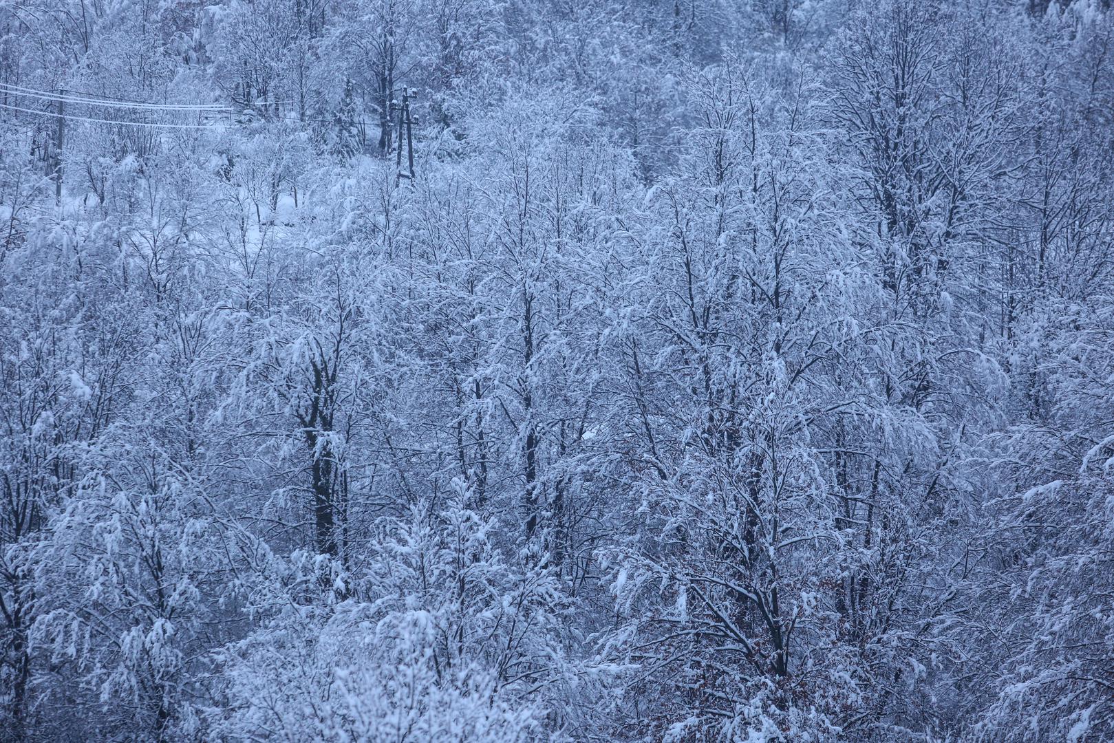 Zimske službe krenule su u akciju čišćenja snijega.