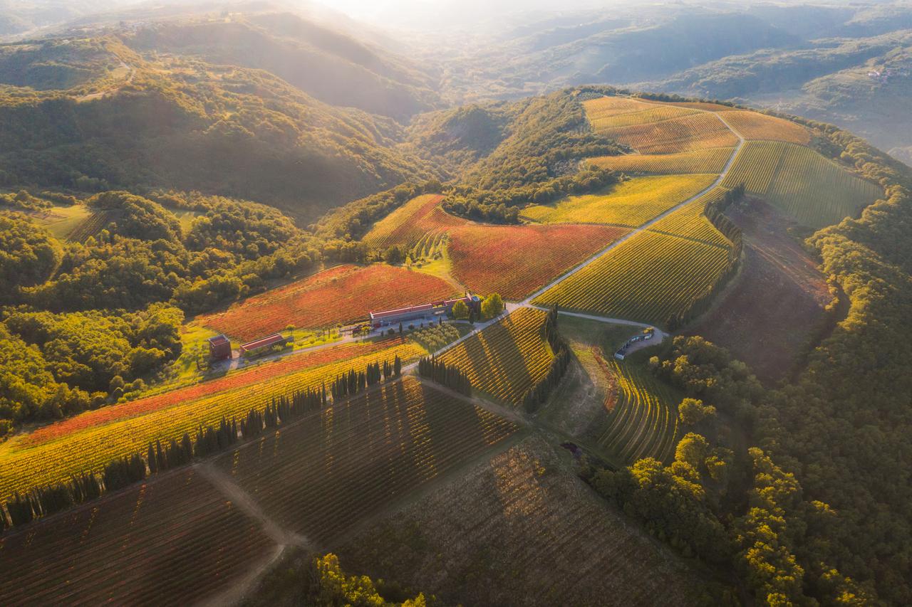 Ekološki certifikat za vina boutique vinarije BRIČ