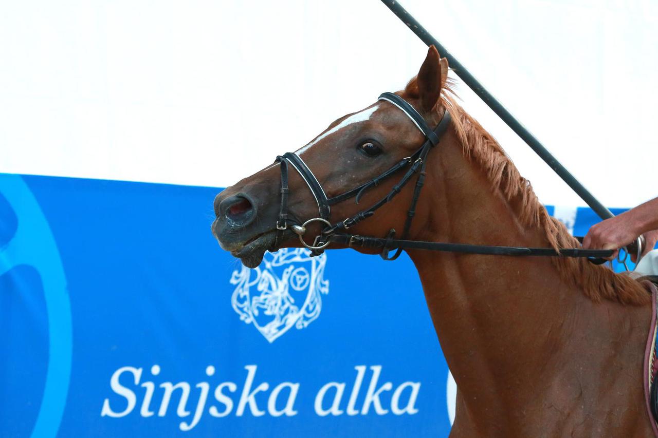 Sinj: Pripreme za 301. Sinjsku alku