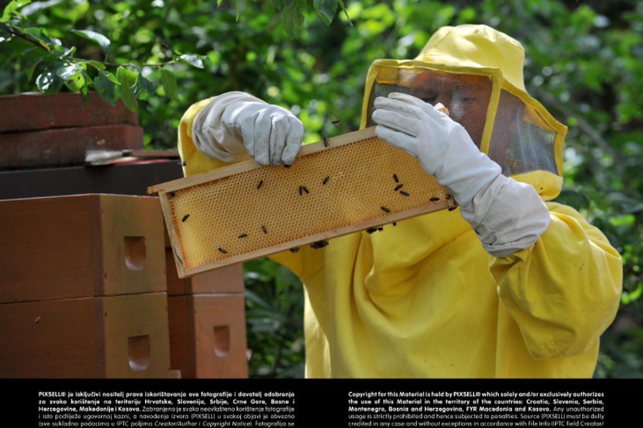'A beekeeper at a beehive. A beehive is an enclosed structure in which some honey bee species of the subgenus Apis live and raise their young. Natural beehives are naturally occurring structures occup