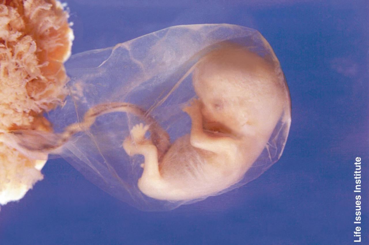 \'embrij2_nnn_unu_260210\'