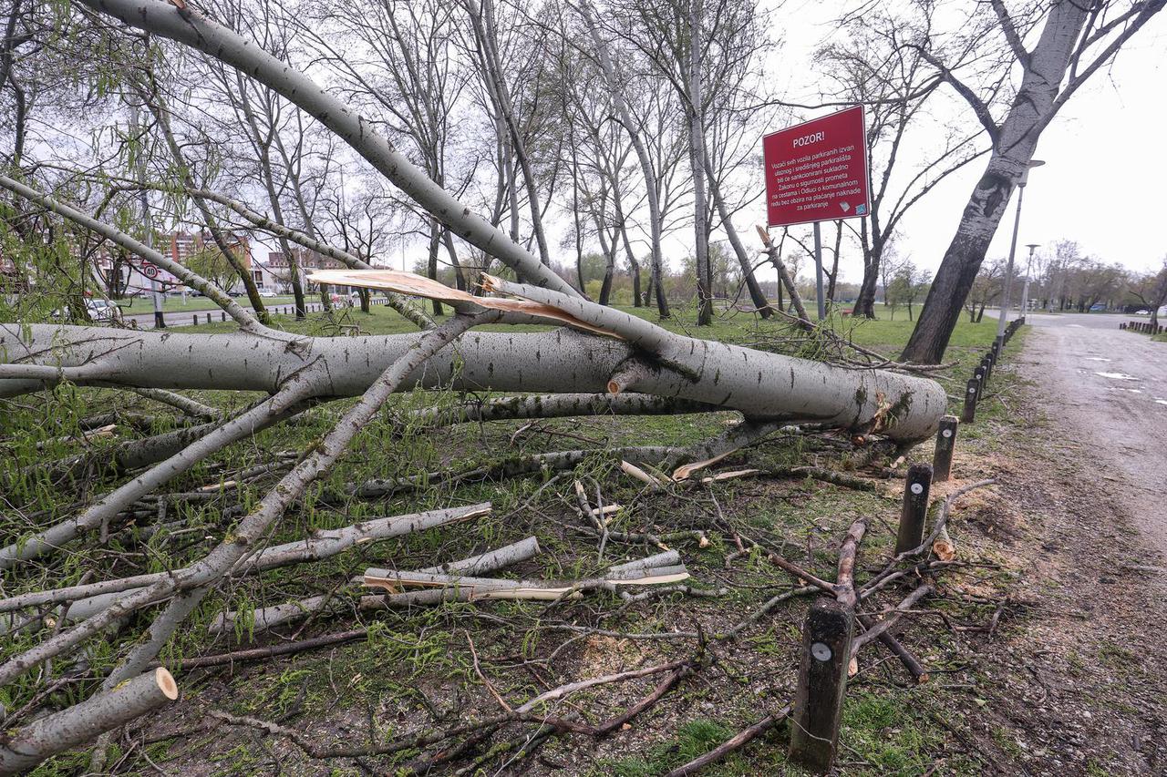 Zagreb: Olujno nevrijeme počupalo stabla na Bundeku 