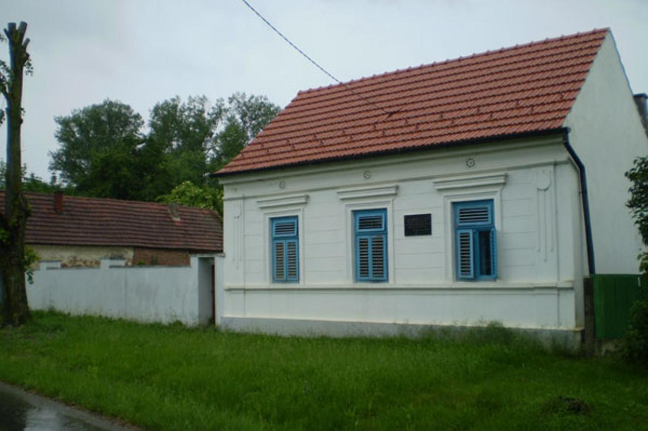 Krsto Hegedušić