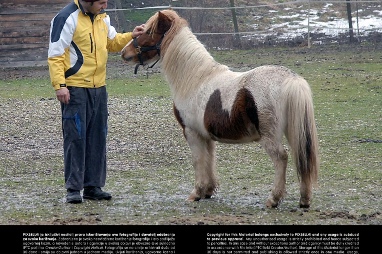 '26.02.2013., Sisak - Nekoliko osudjenika svoju kaznu, umjesto iza zatvorskih resetaka, odradjuje radom u Udruzi za terapjisko jahanje Kas. Osudjenik Dalibor Jakupovic.  Photo: Nikola Cutuk/PIXSELL'