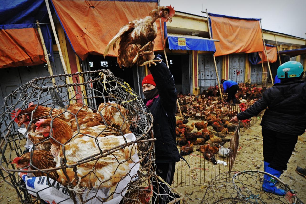 Vijetnam,misteriozna bolest