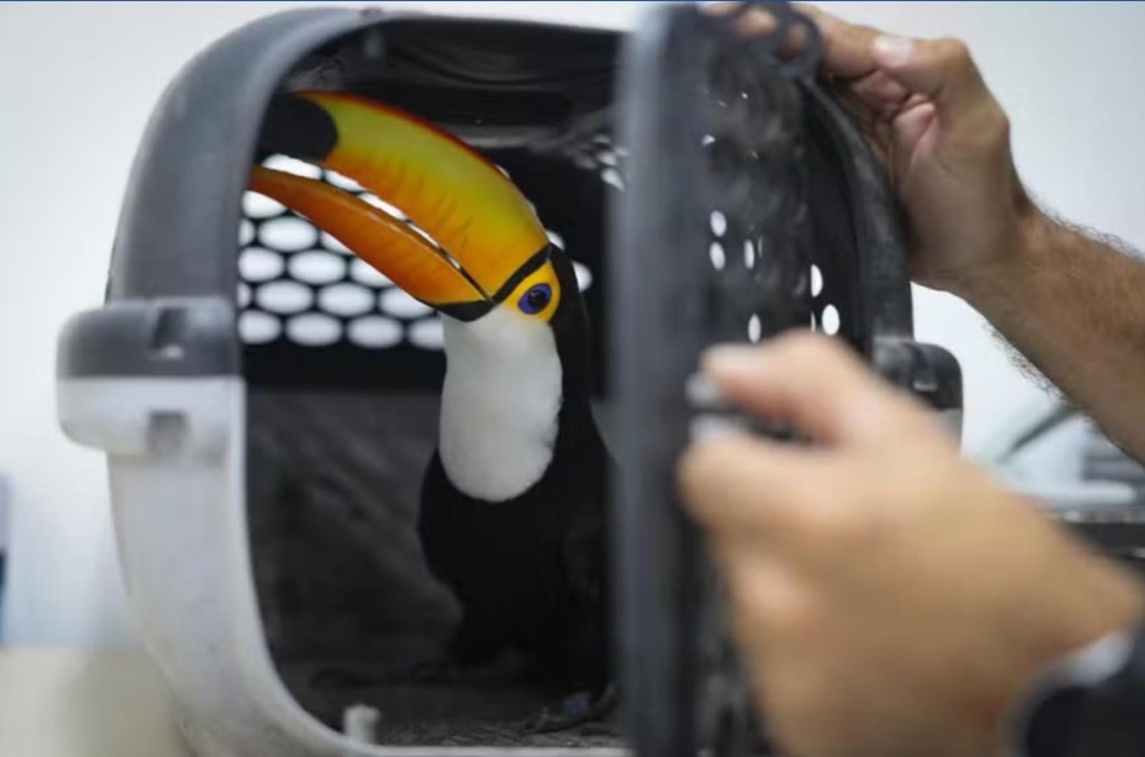 Dok su zapljene živih životinja ove godine dosegle rekordnu razinu — uglavnom zbog potražnje za egzotičnim kućnim ljubimcima — većina trgovine divljim životinjama uključivala je ostatke životinja, dijelove i derivate, često korištene u tradicionalnoj medicini ili specijaliziranoj hrani.