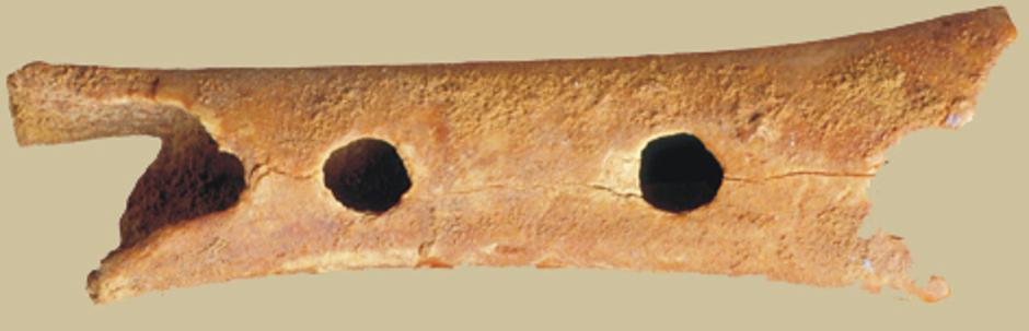 Nenadertalska flauta