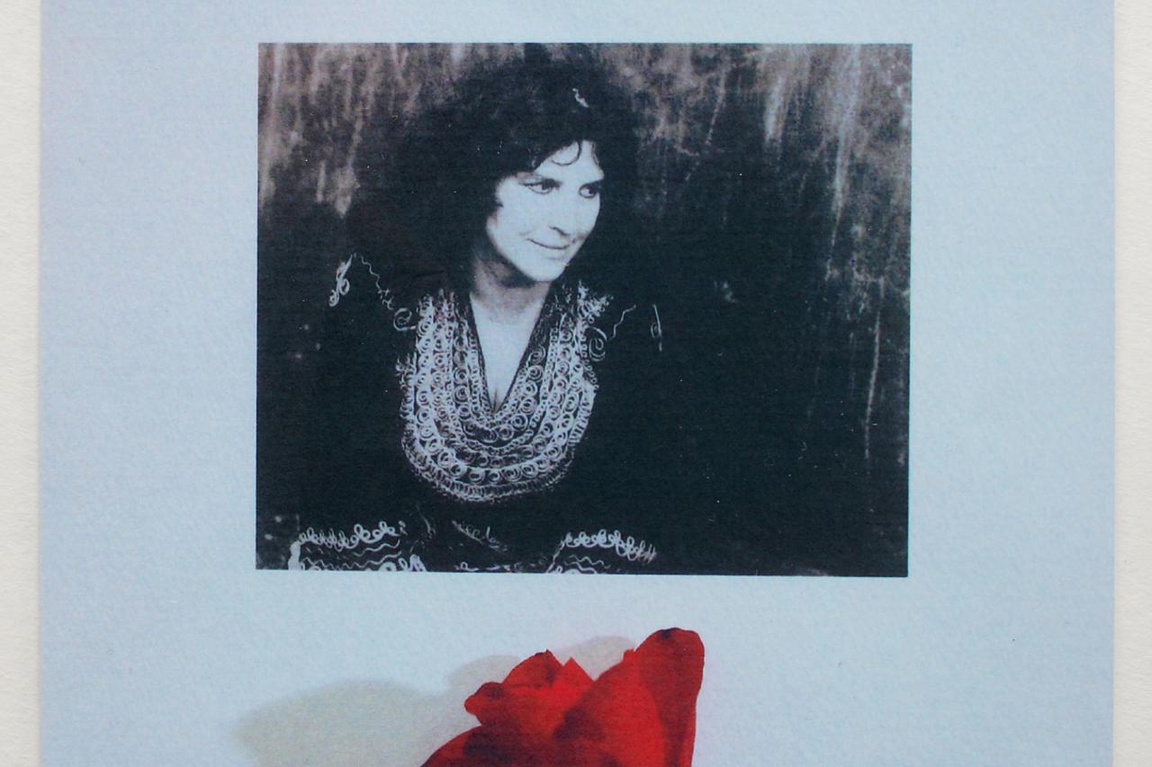 vesna parun 