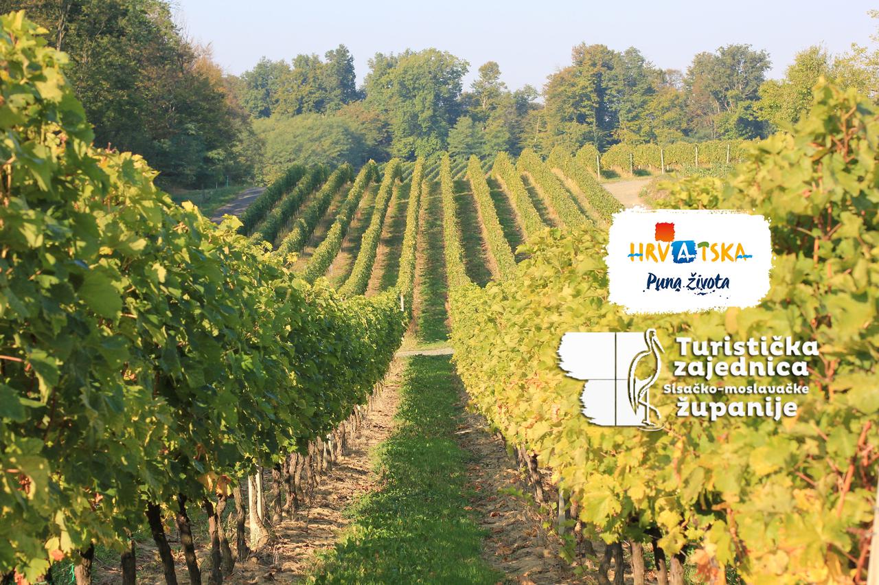 MoslaVina Kutina 2019. – festival vina