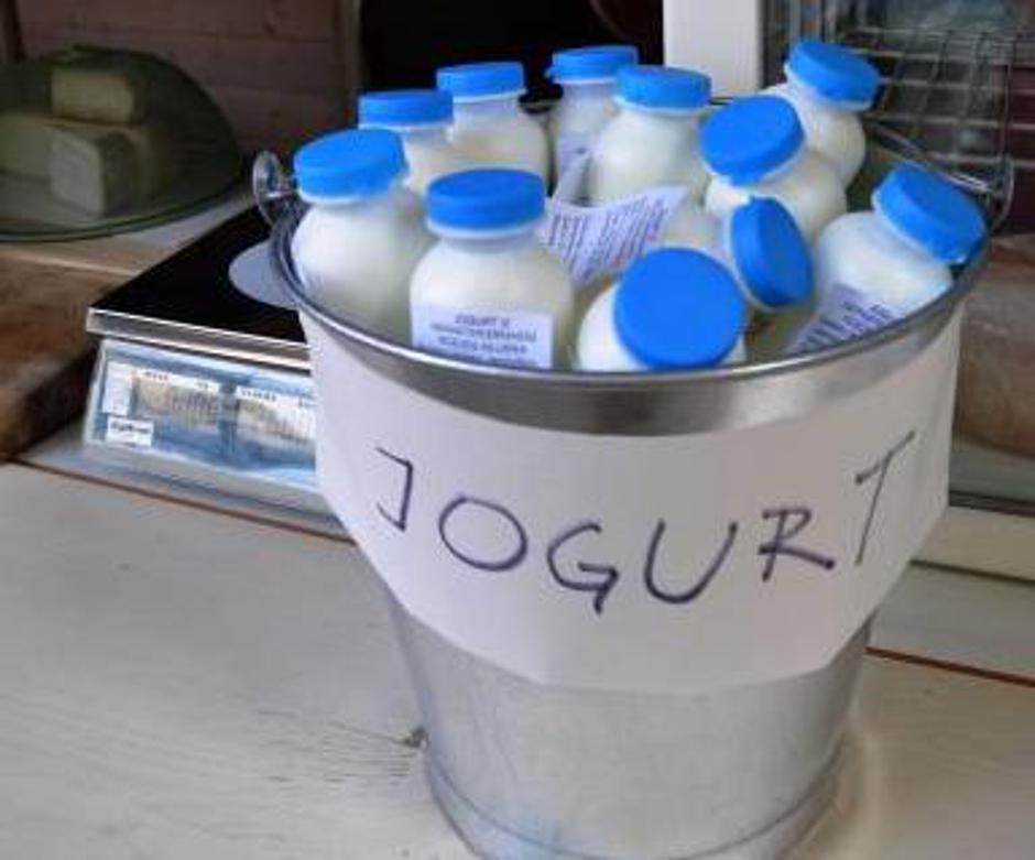 jogurt