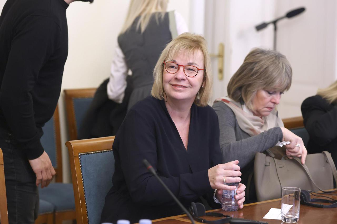 Zagreb: Okrugli stol "Surogatstvo - eksploatacija žena i trgovina djecom"