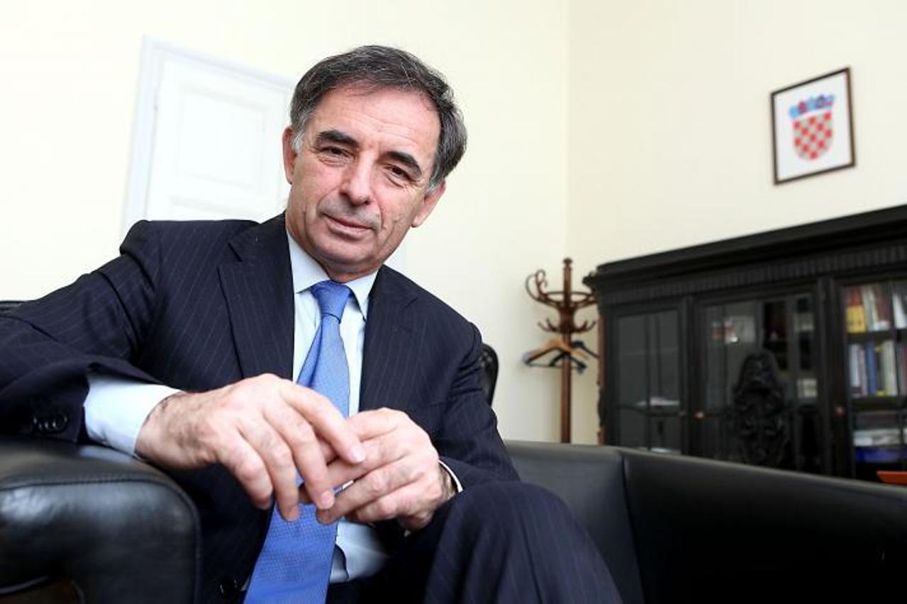 'SPECIJAL OBZOR  10.04.2013., Zagreb - Milorad Pupovac, saborski zastupnik. Photo: Patrik Macek/PIXSELL'